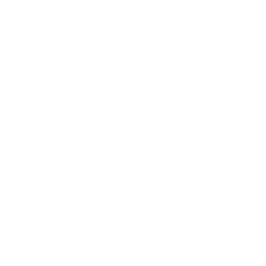 telephone